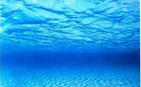 Amtra Croci Rückwandfolie 100 cm x 50 cm Aquarien Rückwand Hintergrund Dekoration Poster