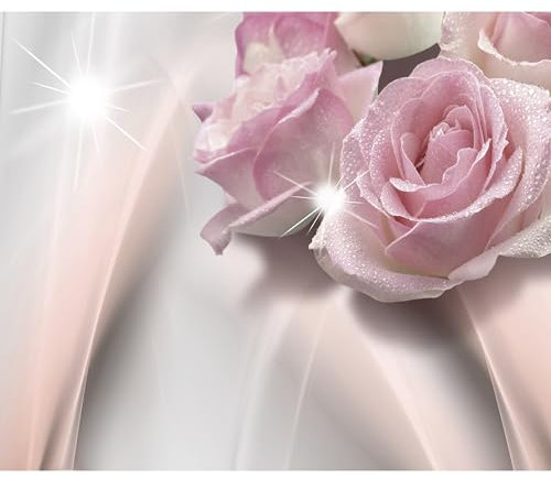 decomonkey - Papier Peint Panoramique Fleurs Rose 350x256 cm - Décoration murale moderne – Tapisserie décorative pour chambre salon - Lueur fleurs nature plantes roses rose soleil fond