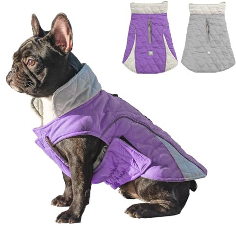 Huntboo Hundemantel, Hundemantel Winter, Hundemantel Wasserdicht, Hundejacke Winter, Winddicht und mit Reflektierenden Streifen, Bleiben Sie Warm und Sichtbar (Lila,L)