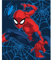 Aymax Spiderman Flauschdecke Schmusedecke Kuscheldecke 130 x 160 cm