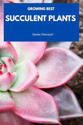 GROWING BEST SUCCULENT PLANTS