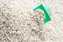 Perlite – 10L 20L & 100L Bags - Unlock Superior Plant Growth with Ultimate Perlite (20L)