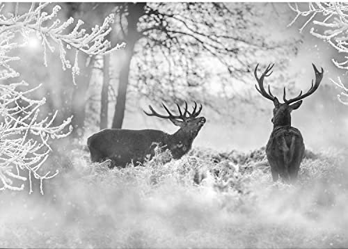 Runa Art Papier peint intissé neige d'hiver Elche 352 x 250 cm Toison Mur XXL Tableaux Muraux Tapisserie Photo Décoration Murale Salon Chambre grise 9212011c