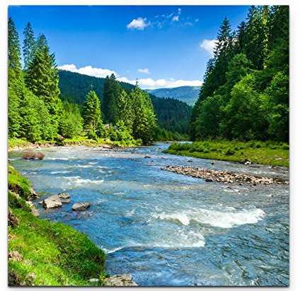 Paul Sinus Art Leinwandbilder | Bilder Leinwand 60x60cm wunderschöne Landschaft mit Bergen, Wald und Bach