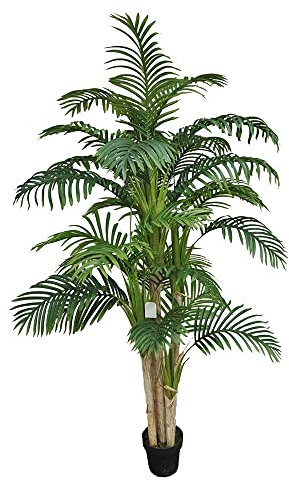 Seidenblumen Roß Arekapalme 200cm 5 Stämme ZF künstliche Palme Palmen Kunstpalmen Areca Kunstpflanzen Dekopalmen