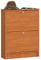 AKORD Schuhschrank mit 2 Schuhkippern | Schuhkipper | Schuhregal geschlossen | Schuhbank | Schuhaufbewahrung | B60 x H80 x T20 cm, Gewicht 21 kg | Farbe Erle