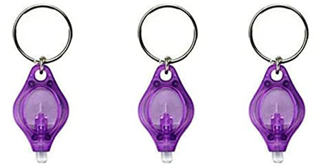 MACHSWON 3PCS Mini Keychain Torches Flashlight UV Money Checker Key-Chain LED Money Detector Light Key Ring Light Torch Purple