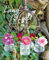 Land & Lust - Kalender 2024 - Spezial-Format - Korsch-Verlag - Kalender mit ländlichen Idyllen - 36 cm x 44 cm