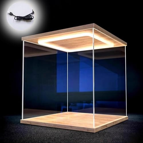 Acryl Vitrine Durchsichtige Vitrine aus Acryl mit LED-Licht, Staubdichte Aufbewahrungsbox für Sammlerstücke/ Actionfiguren, Perfekter Schutz für Die Vitrine Auf Der Arbeitsplatte(20x20x20cm/8x8x8)