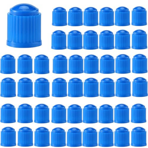 JEYORZY 48pcs Tappi Stelo Valvola Pneumatico, Tappi Universali per Valvole Pneumatici Tappi Parapolvere, Tappini gomme auto con o-ring, cappuccio valvola bici, per Ruote di Auto, Moto, Biciclette, blu