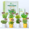 BonPrime Kit de Cultivo Hierbas aromaticas - Mini Jardín y Huerto Urbano para Casa con 8 Semillas, Macetas Ecológicas y Marcadores - Set de Plantas aromáticas - Minihuerto para Principiantes