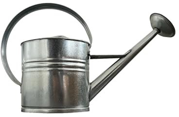 daniplus Arrosoir en zinc - 10 l - Arrosoir en métal - Peut également être utilisé comme décoration