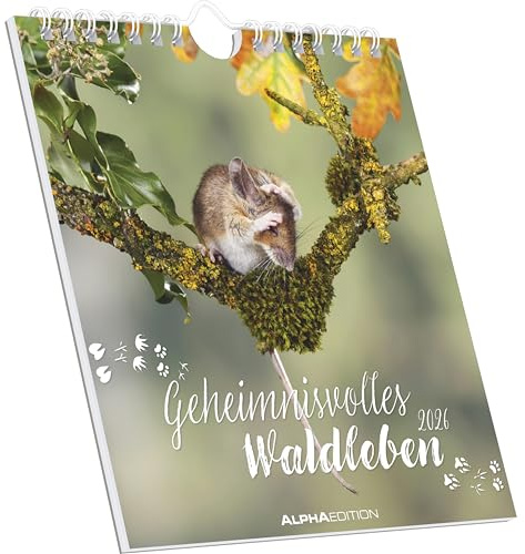 Alpha Edition - Geheimnisvolles Waldleben 2026 – Postkartenkalender 16×17 cm mit 53 Naturmotiven, FSC-zertifiziert, als Tisch- & Wandkalender nutzbar, perforierte Karten zum Verschicken & Sammeln