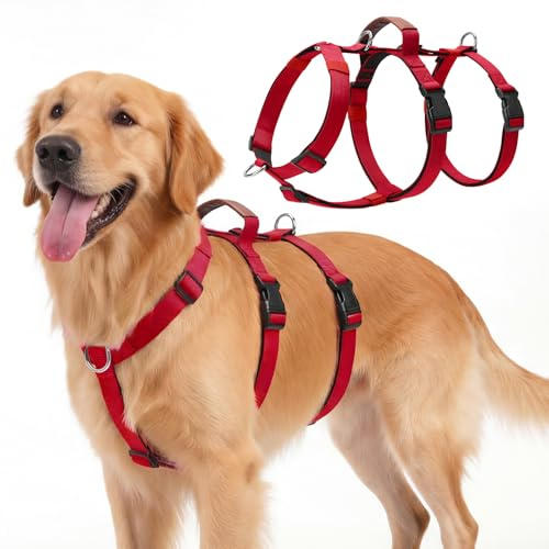 Ledeak Flyktsäker hundsele, justerbar no-pull-sele med mjukt vadderat handtag, justerbar anti-drag husdjursväst för medelstora och stora hundar utomhusträning promenader, flyktsäker design (röd, M)