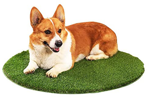 Kunstrasen für Hunde, Töpfchentrainingsteppiche und Ersatz-Kunstrasen, rutschfeste Bodenmatte mit Ablauflöchern, weich und leicht zu reinigen, geeignet für Katzen und Hunde