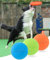 Lot de 3 frisbees de dressage pour chien, TPR non toxique en caoutchouc souple à morsure crémeuse, puzzle flottant en plein air, jouets à lancer en plein air, grincement des dents, morsure lavable