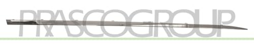 Chrome strip door front right
