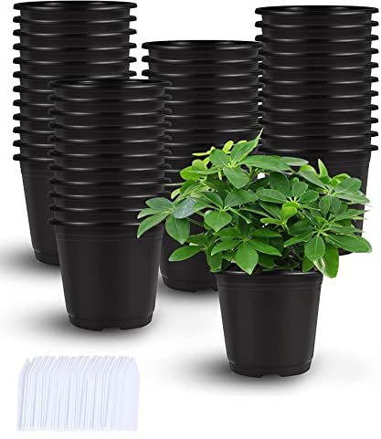 Augshy Schwarze Plastik Blumentöpfe, 110 Stück 10,2 cm Kunststoff Pflanzentöpfe mit 110 Stück Etiketten Plastik Anzuchttöpfe für Sukkulenten Setzlinge Stecklinge Umpflanz