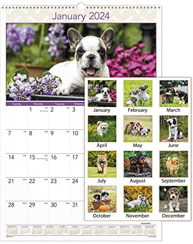 AT-A-GLANCE® Monats-Wandkalender für 2024 Welpen, 39,1 x 57,9 cm, Januar bis Dezember 2024, DMW16728
