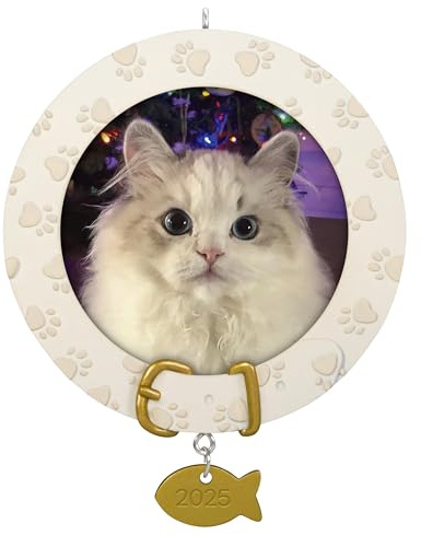Hallmark Keepsake Christmas Ornament 2025, Furry Friend 2025 Photo Frame, Pet Gifts