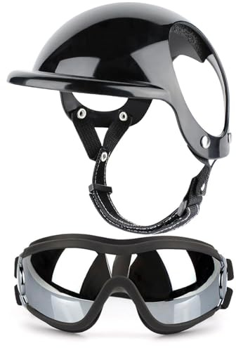 Motorradbrille für Hunde | Sonnenbrille mit elastischem Band, Winddicht