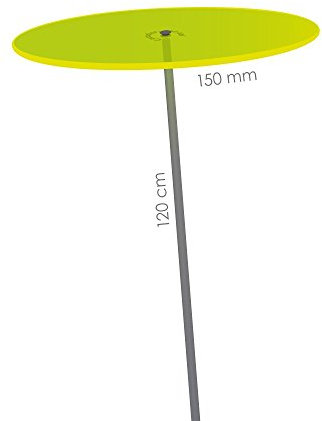 Cazador-del-sol mediano – Colector del Sol – Verde