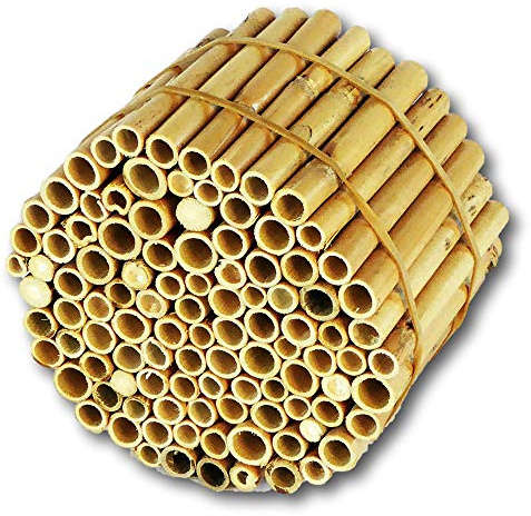 BeeCasa Schilfrohrhalme - Niströhren EXTRA | Natur Nisthülsen | 11 cm | Schilfhalme Füllmaterial für Insektenhotel & Bienenhotel | Nisthilfen für Wildbienen | Auch zum Basteln & Deko | Hiss Reet