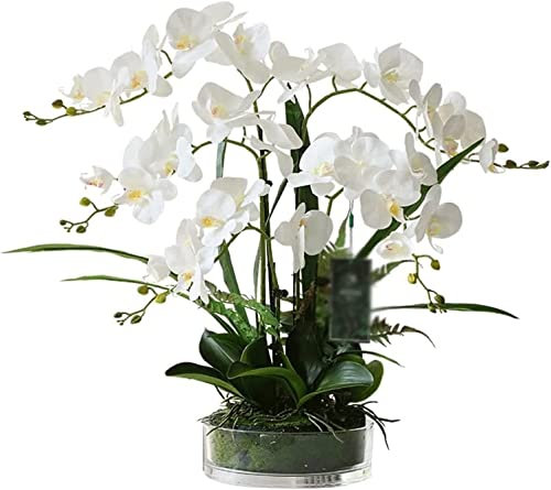 DEIHEI Artificial Orchid Flowers in Transparent Glass Vase Natural Real Touch Silk Phalaenopsis Ornaments Flower Arrangements for Dinning Table Centerpiece Home Decor Fake Flowers for Decoration