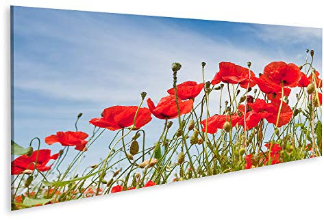 islandburner Prime Bild auf Leinwand Mohnblumen Bilder Wandbilder Poster