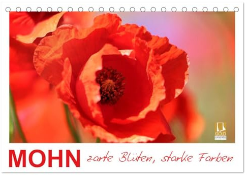 Mohn, zarte Blüten, starke Farben (Tischkalender 2026 DIN A5 quer), CALVENDO Monatskalender: Immer wieder eine Augenweide (CALVENDO Natur)
