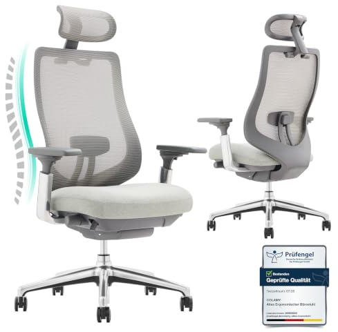 COLAMY XK Atlas Ergonomischer Bürostuhl, Netz-Chefsessel mit verstellbarem Kopfstütze, Computer Schreibtischstuhl Drehstuhl mit 4D-Armlehnen, Aluminium Basis/Schiebesitz/Neigungssperre, Hellgrau