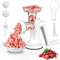 LHS Molinillo manual de carne, relleno de salchichas, picadora de carne resistente, molinillo de mano 3 en 1 con cuchillas de acero inoxidable para carne, salchichas, galletas, fácil de limpiar