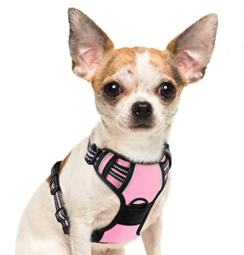 Eagloo Hundegeschirr Kleine Hunde, Anti Zug Hundegeschirr mit Reflexstreifen und Kontrolle, Verstellbar, Einstellbar und Langlebige Brustgeschirr Hund, Geeignet zum Gehen und Joggen, Rosa, S