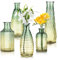 Joeyan Lot de 5 Petits Vases à Bourgeons en Verre Gaufré, Coloré Mini Vase Décoratif Rustique Vintage de Vert et Ambre,Soliflore en Verre Fleur Decoration pour Mariage,Bureau, Maison, Chambre,Salon