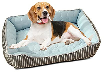 PETCUTE Kühl Hundebett,Orthopädisches Hundebett Grosse Hunde,Waschbar Hundekorb mit 4 Rändern,Hundesofa, Hundekissen mit Anti-Rutsch-Boden,Passend für Sommer,Blau,M