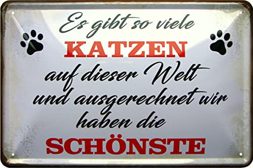 WOGEKA ART Retro Blechschilder - Wir haben die schönste KATZE - Lustiger Spruch als Geschenk-Idee für alle Katzen-Freunde zu Geburtstag Weihnachten zur Deko 20x30 cm Metall-Schild 1080