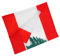 Vaguelly Bandera Nacional Bandera Del Líbano Pin De La Bandera Del Líbano Banderas De La Bandera Nacional Líbano Fuerte Letrero De Jardín Con La Bandera Del Líbano Llaveros Con La Bandera