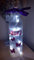 Personalised name butterfly light up bottle
