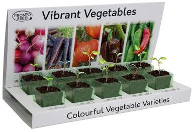 Pronto Seeds Grow Your Own Vegetable Garden Kit - 5 Easy-to-Grow Seed Varieties - Indoor & Outdoor Gardening Gift Set - Sustainable Non-GMO Kit for Beginners