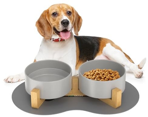 Doppel 850ml Hundenapf Keramik Futternapf Fressnapf Hund Erhöht Futterschüssel mit Bambus Ständer und rutschfestem Matte für mittelgroße und große Hunde Futter- und Wassernapf (Grau)