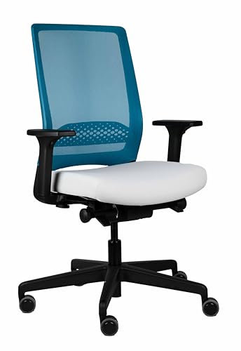 Viasit Kickster ergonomischer Bürodrehstuhl Schreibtischstuhl mit Armlehnen und Lumbalstütze für Homeoffice und Büro 5 Jahre Garantie (Türkis/Hellgrau)