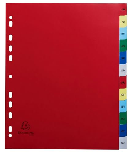 Exacompta - Réf. 92E - Carton de 20 Intercalaires en polypropylène avec 12 onglets imprimés mensuel de Janvier à Décembre en couleur - Page d'indexation imrpimable - Format à classer A4 maxi