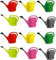 CityBazaars Arrosoir de 5 L avec bec de douche Couleur aléatoire Jardinage Arrosage Plantes Maison