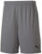 PUMA Herren teamGOAL 23 Knit Shorts, Steel Gray, XXL