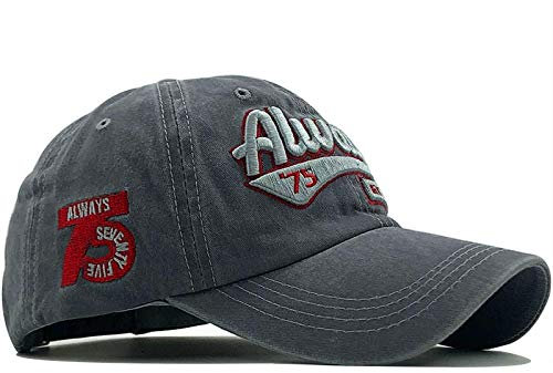 ShFhhwrl Baseball Kappe Herren Baseball Cap Damen Stickerei Hut Man Cap Grau Verstellbar