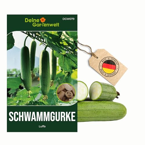 Schwammgurke Luffa Samen - Luffa cylindrica - Gurkesamen - Gemüsesamen - Saatgut für 6 Pflanzen – 3er Pack
