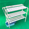 WSIKGHU Hydroponic Growing System Hydroponic System Indoor Hydrokultur Growkit 90 Pflanzenstandorte 3 Lagiges Pflanzen Gemüse Werkzeug Vertical Farming mit Wasserpumpe