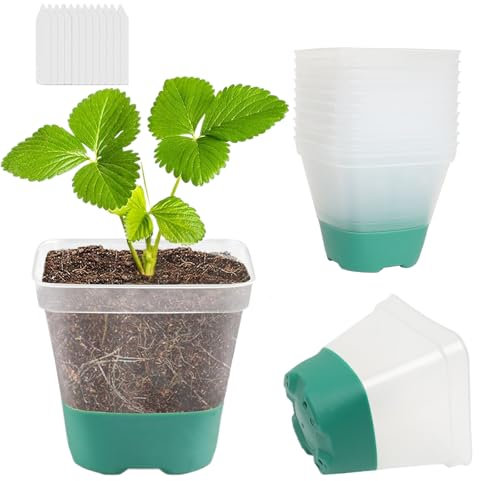 CNNIK 12 Stück Anzuchttöpfe mit Silikonboden Blumentopf Plastik Quadrat Setzlinge Anzucht Töpfe Pflanzgefäße für die Pflanzenaufzucht für Innen Außenbereich Blaugrün