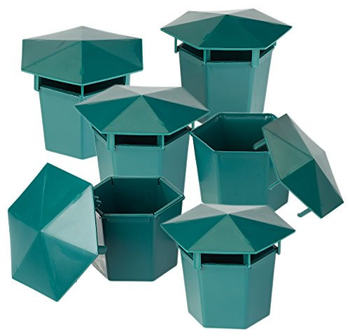 EXBUSTER Insetticidi per Lumache e chiocciole - Difesa Contro Le lumache: Set di 6 trappole per lumache organiche Premium Senza Prodotti chimici e veleni (Trappola per lumache Senza Birra)