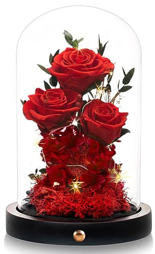 Agrul Blumen Rosen Geschenke für Mutter, für immer echte konservierte Rosen in Glaskuppel, Muttertag für Ehefrau, Freundin, Frauen, beste Freundin, Oma/rote Rose